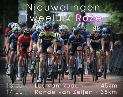 jpeg-tweeluik-roze-v5